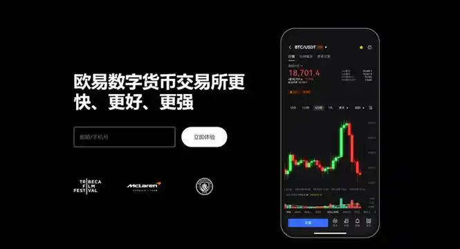 易欧安卓APP下载平台展示图